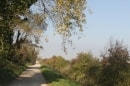 route du Château Robinet à Fort Mahon